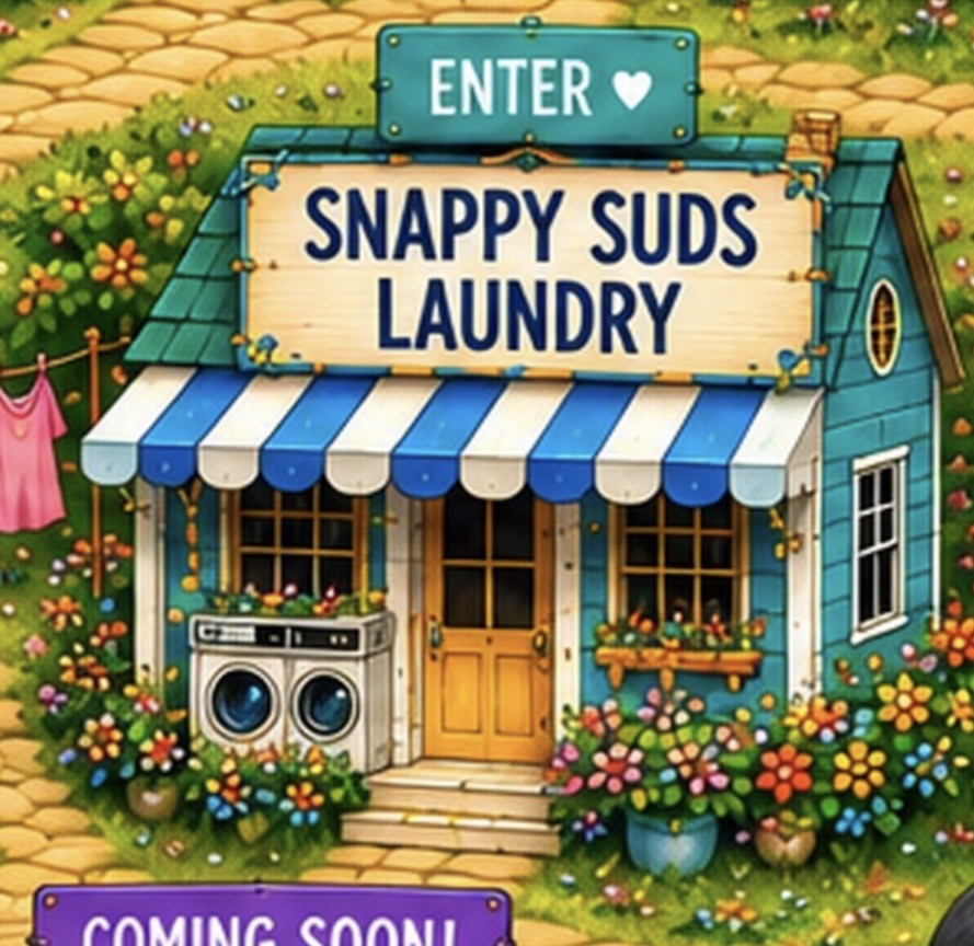 Snappy Suds Laundry