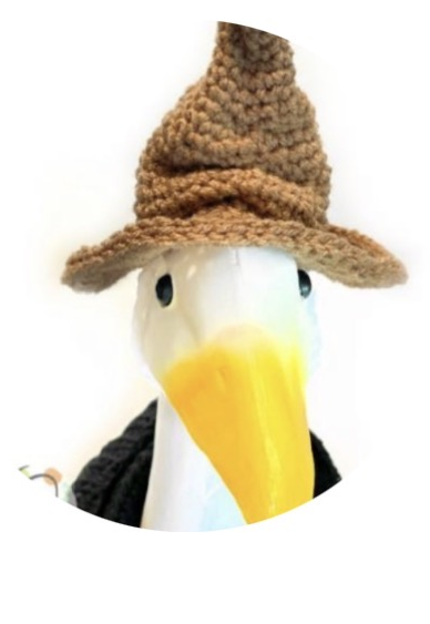 Goose Clothes