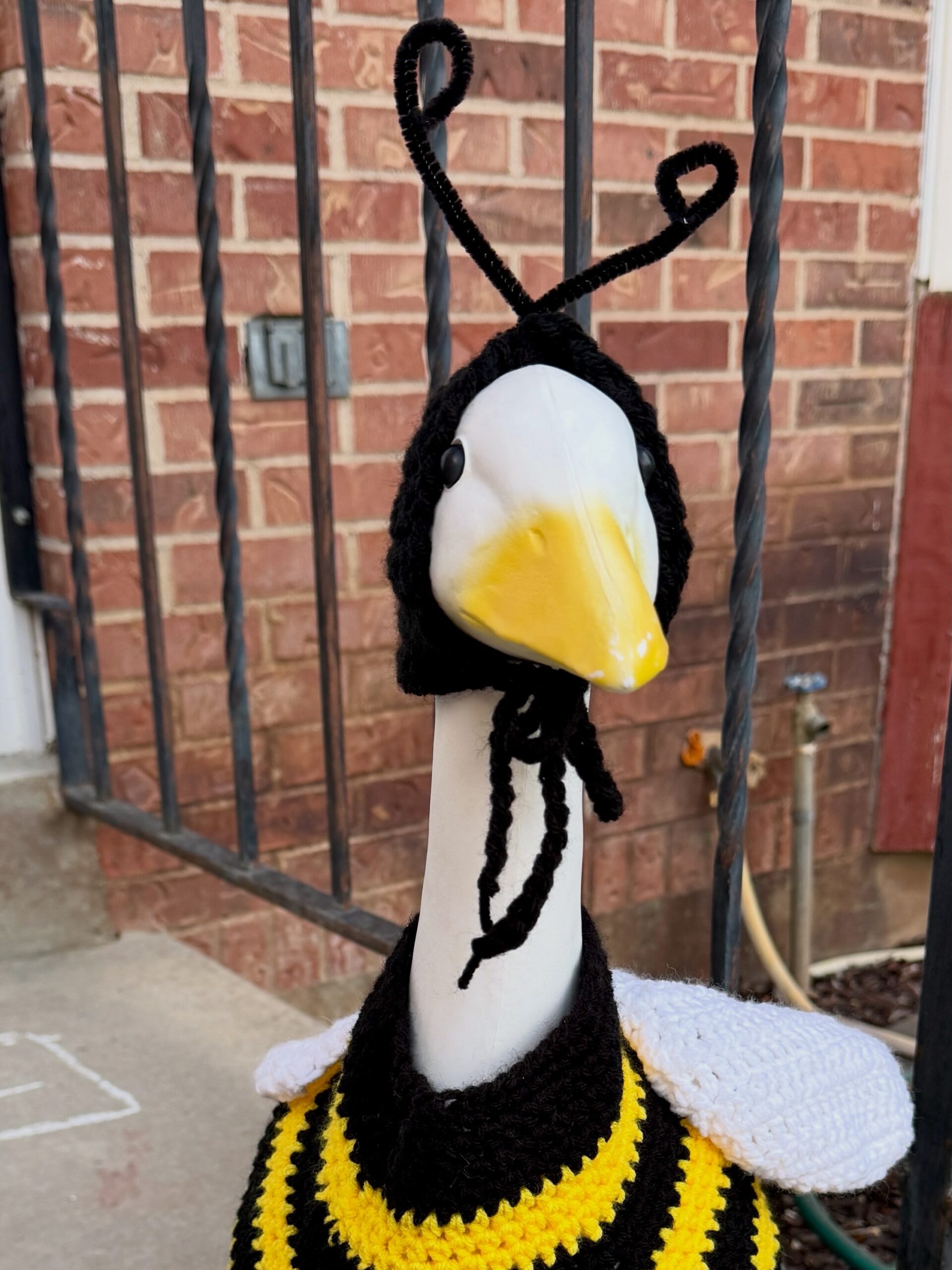 Big Goose Bee Bodysuit and Hat