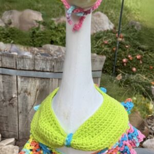 Big Goose 3 piece Beach Outfit