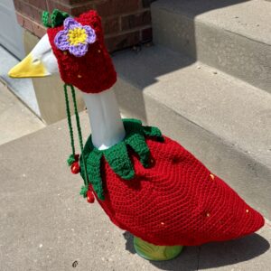 Big Goose Strawberry outfit RTS