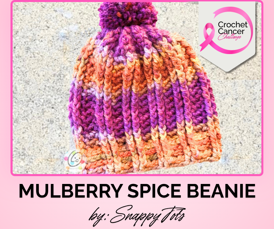 Mulberry Spice Beanie for the 2026 Crochet Cancer Challenge by Snappy Tots